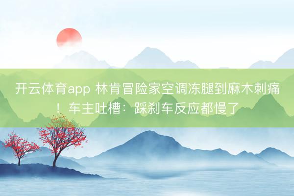 開云體育app 林肯冒險(xiǎn)家空調(diào)凍腿到麻木刺痛!車主吐槽:踩剎車反應(yīng)都慢了